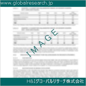 グローバルリサーチ調査資料のイメージ